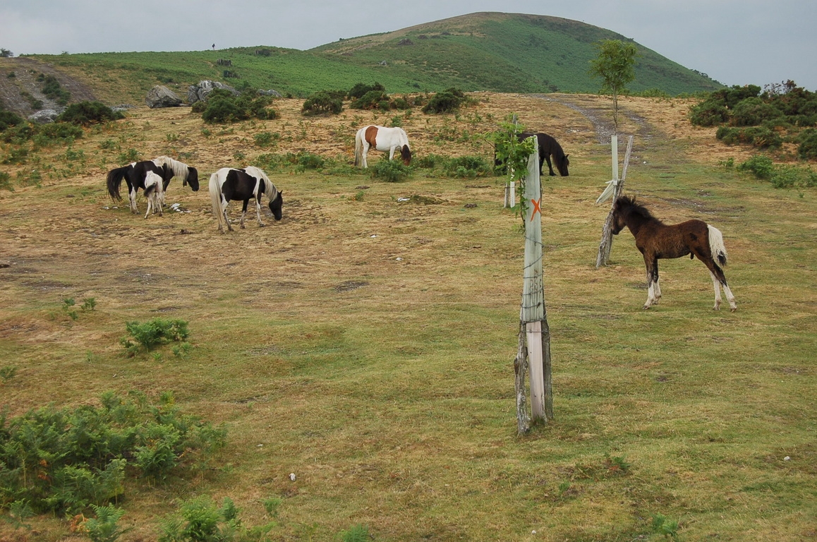 29_Col des 3 croix et l'Erebi.jpg